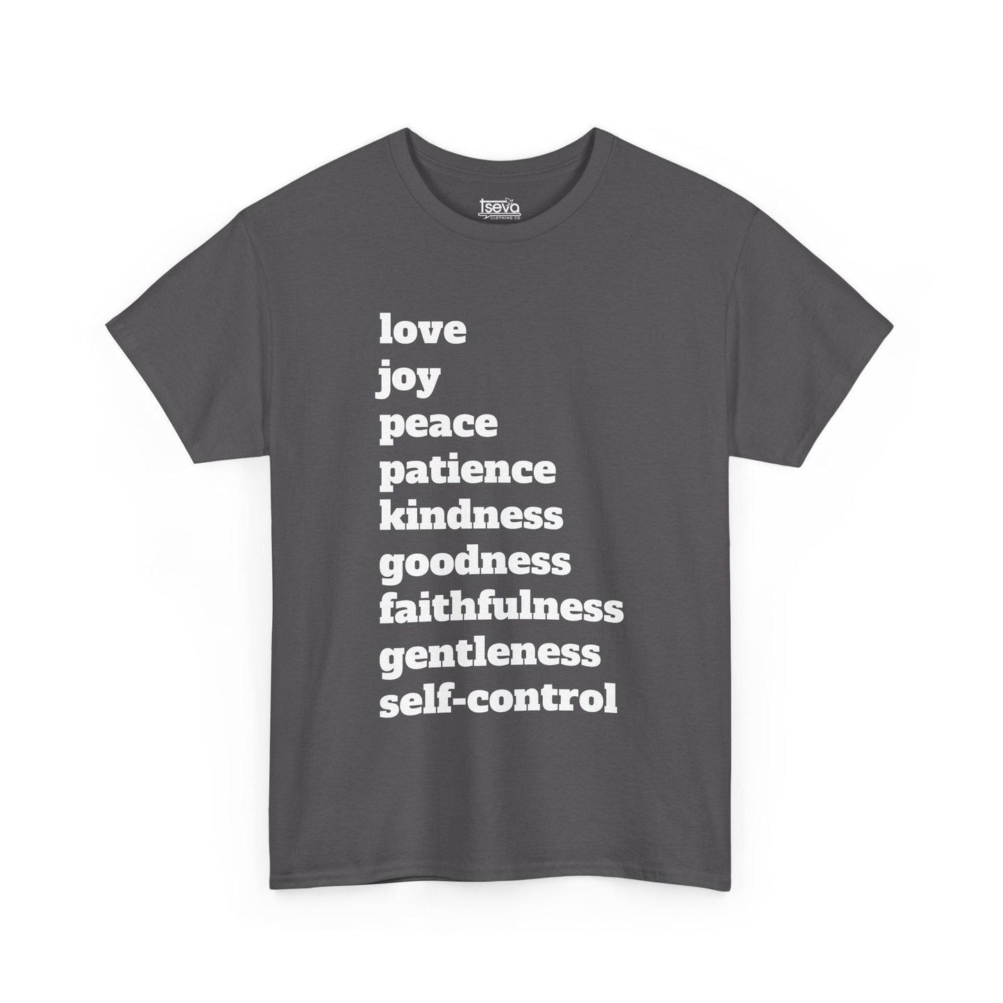 Fruit of the Spirit Soft T-Shirt - Tseva Clothing Co.
