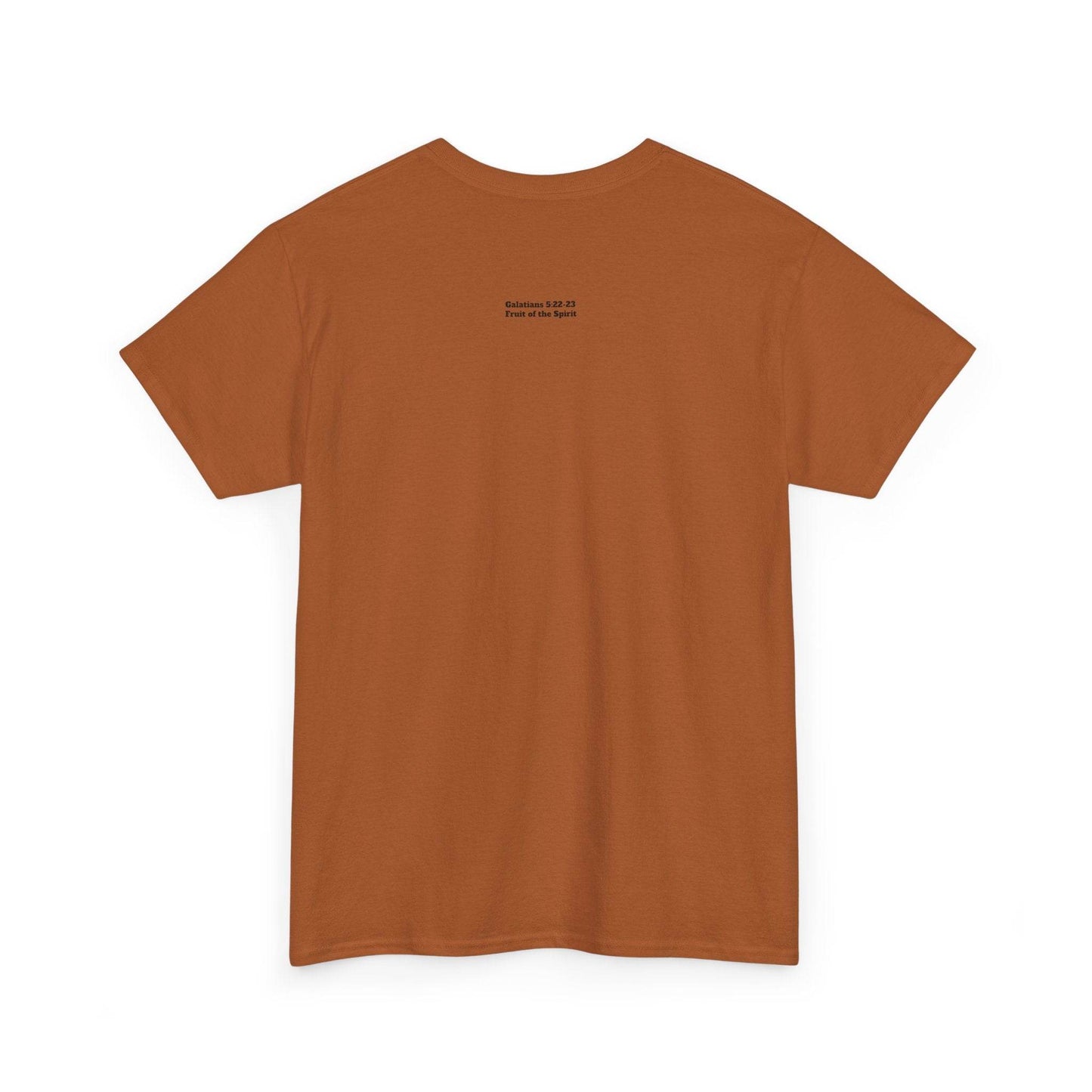 Fruit of the Spirit Soft T-Shirt - Tseva Clothing Co.
