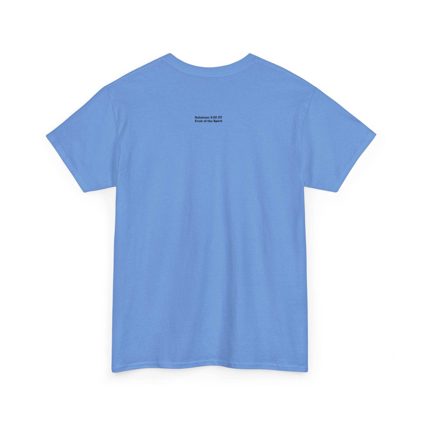 Fruit of the Spirit Soft T-Shirt - Tseva Clothing Co.