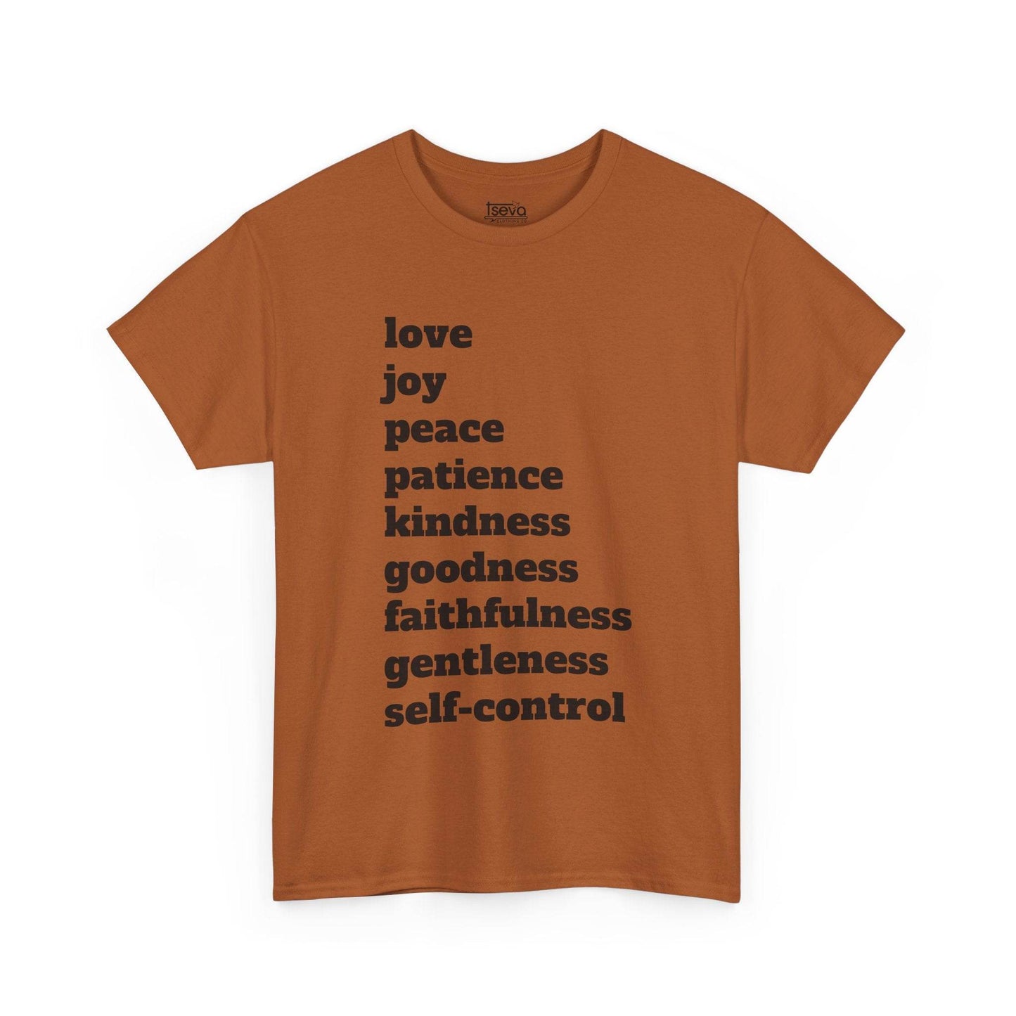 Fruit of the Spirit Soft T-Shirt - Tseva Clothing Co.