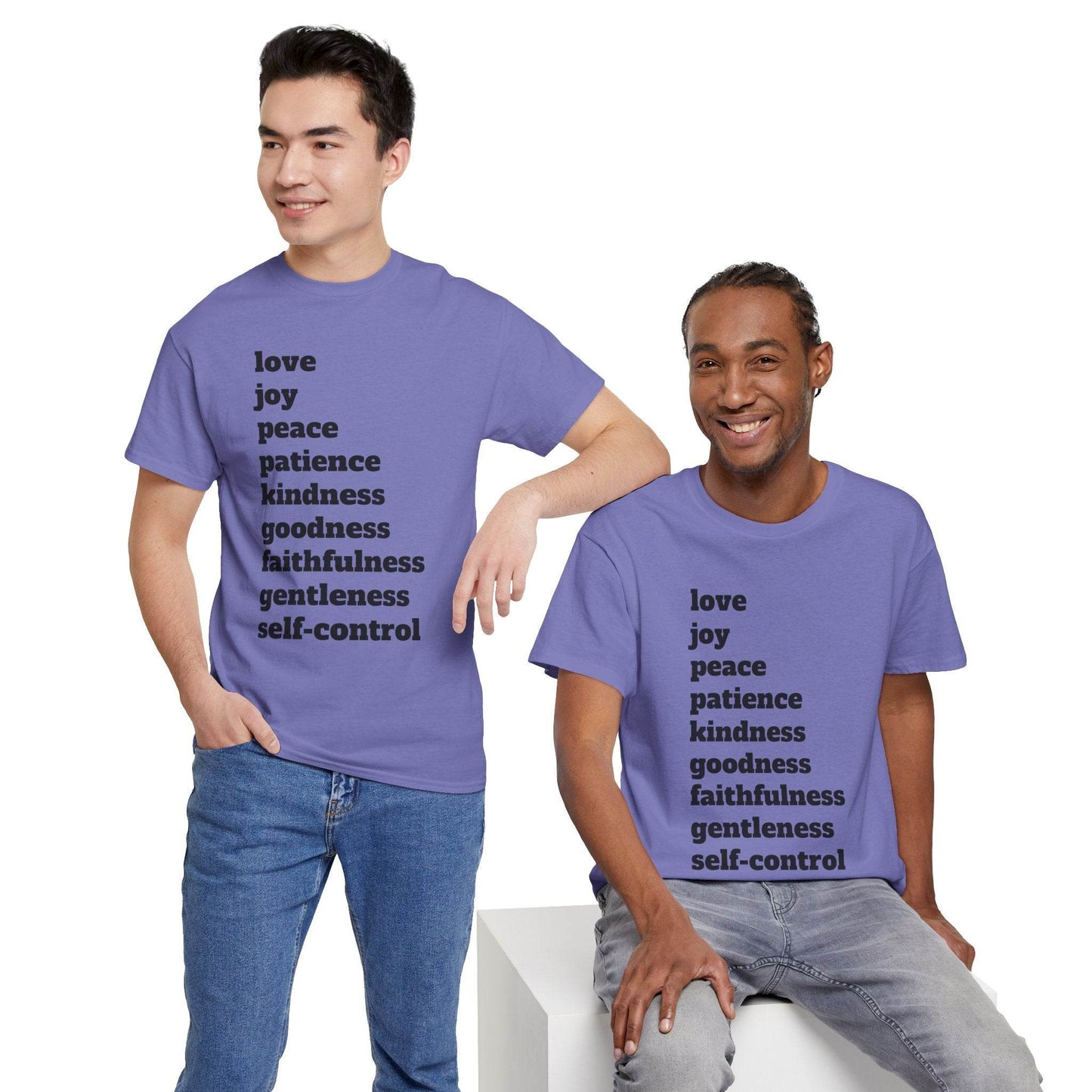 Fruit of the Spirit Soft T-Shirt - Tseva Clothing Co.