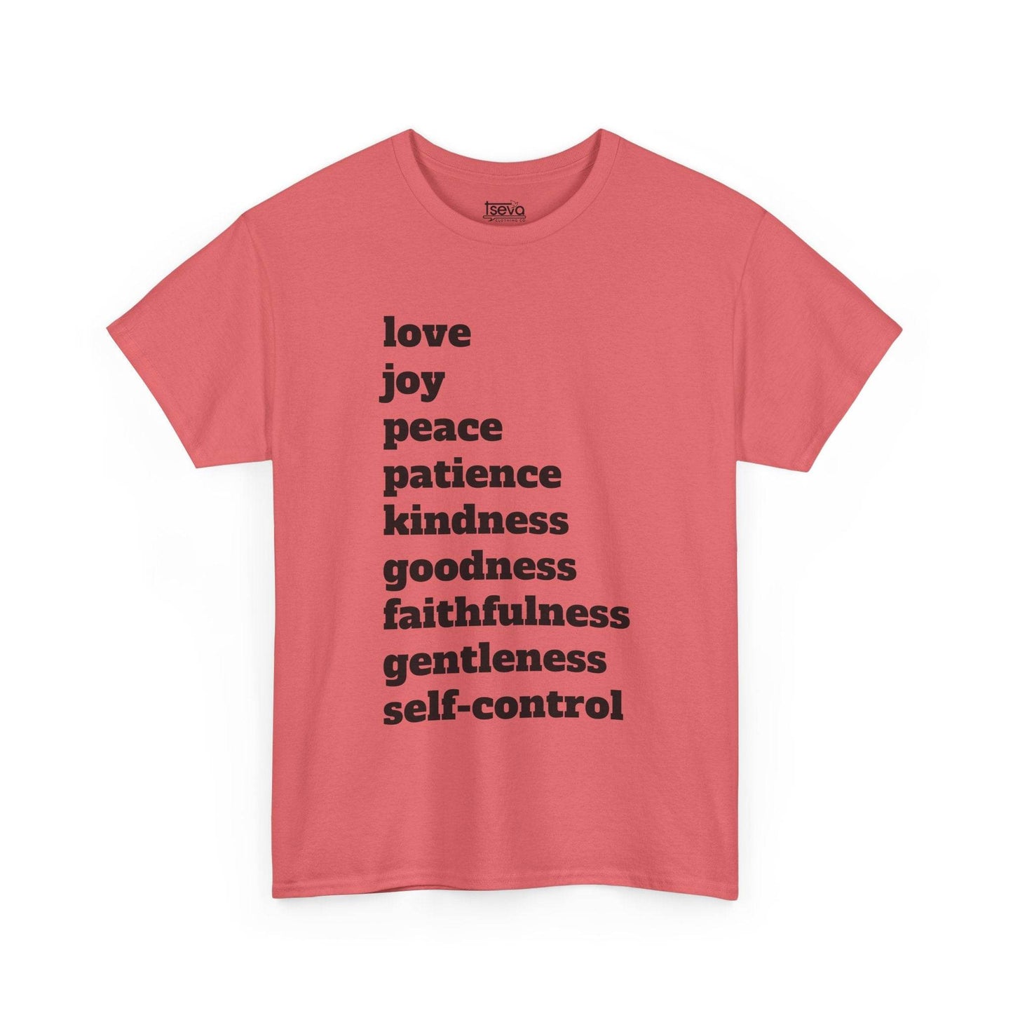 Fruit of the Spirit Soft T-Shirt - Tseva Clothing Co.