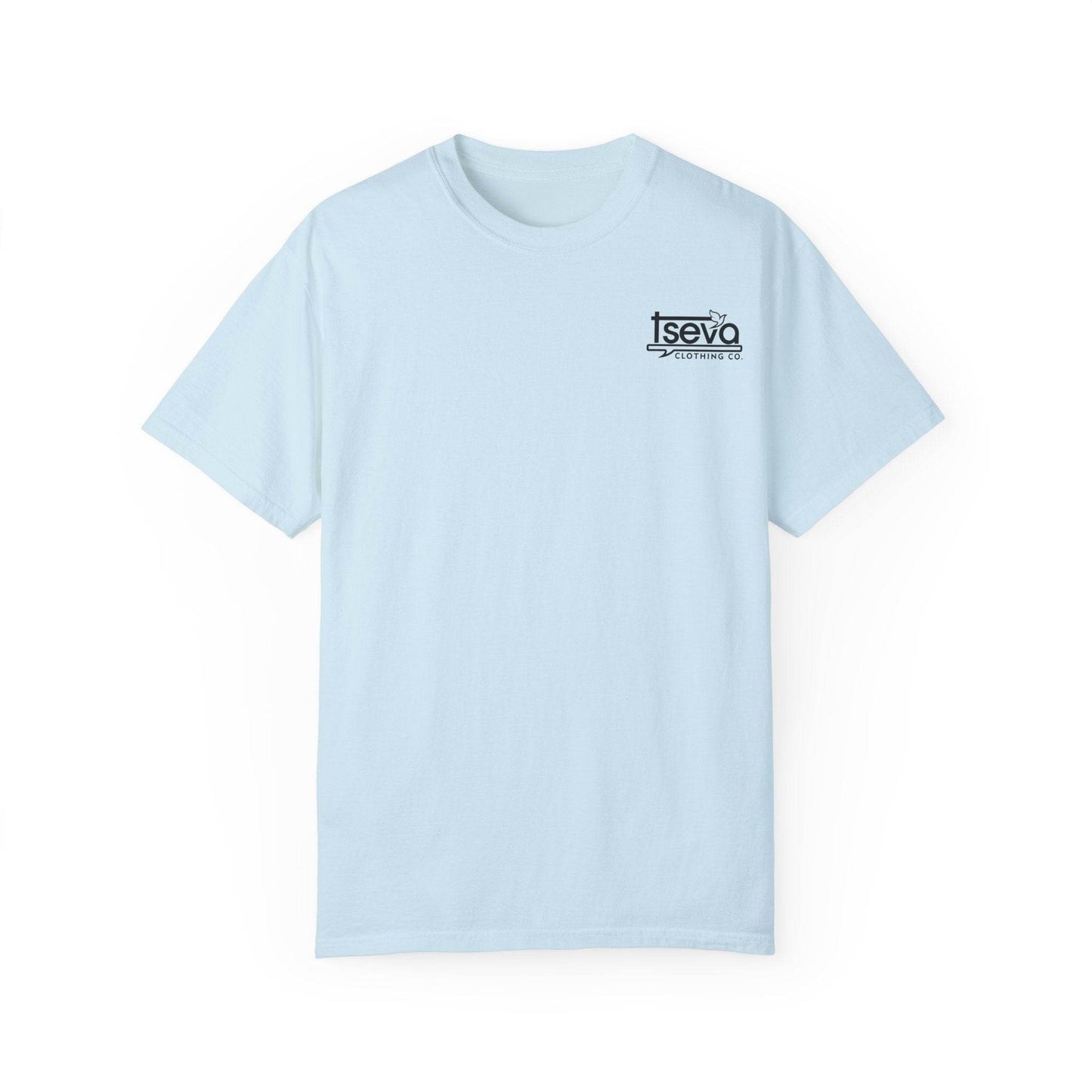 Tseva Clothing Branded T-Shirt- Light 1 Samuel 17:45 - Tseva Clothing Co.