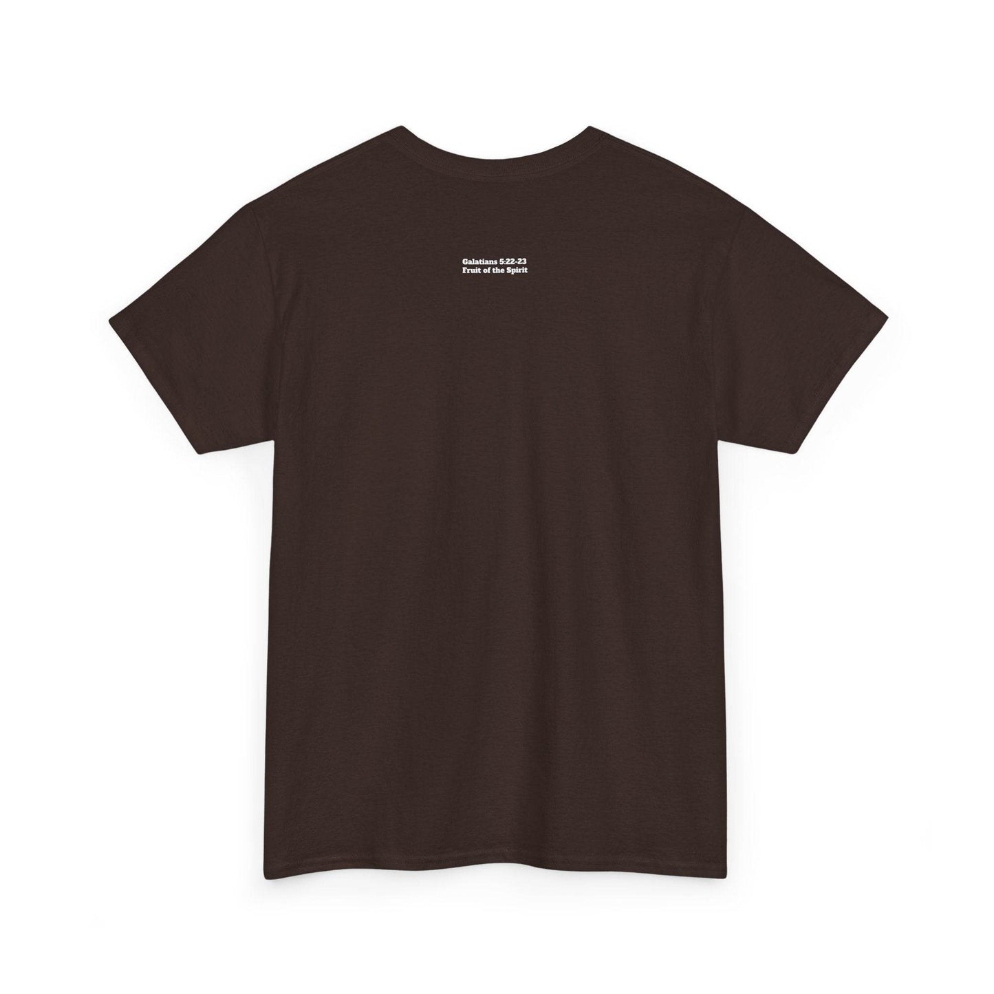 Fruit of the Spirit Soft T-Shirt - Tseva Clothing Co.