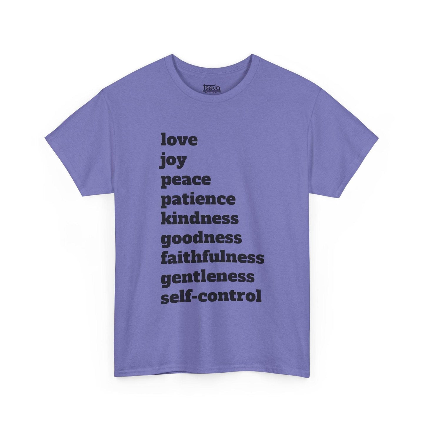 Fruit of the Spirit Soft T-Shirt - Tseva Clothing Co.