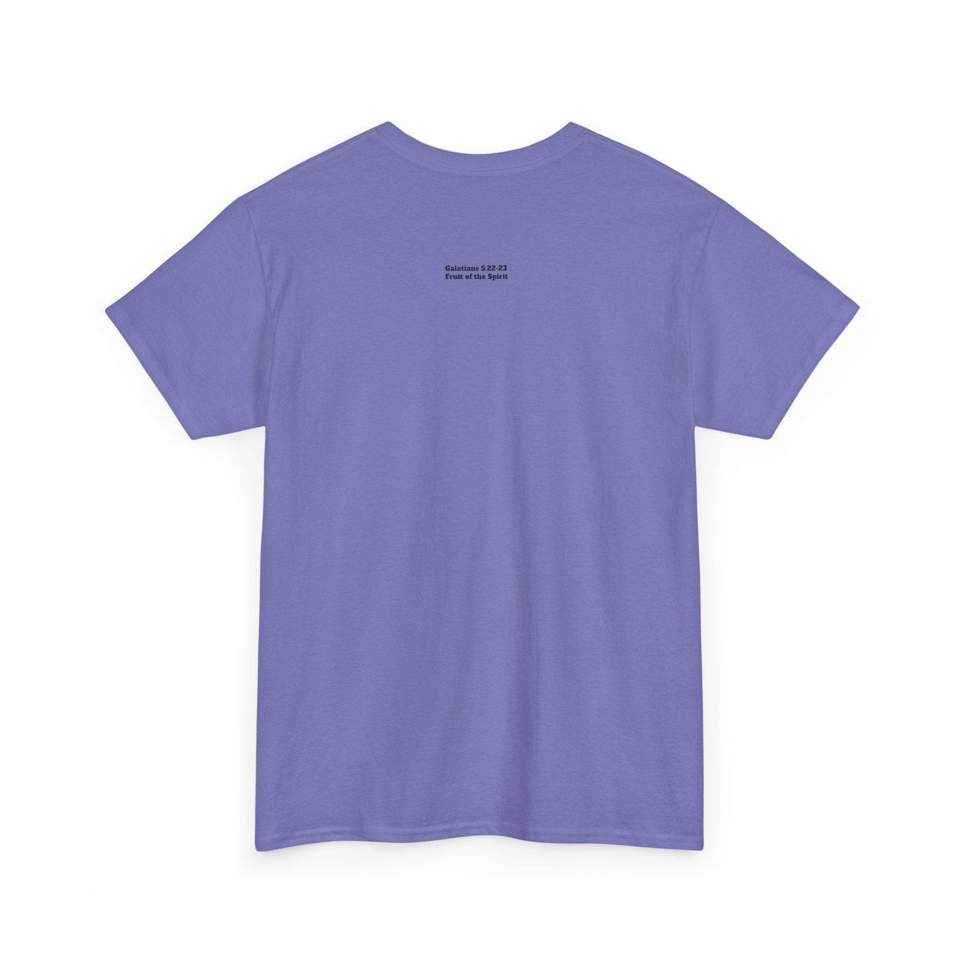 Fruit of the Spirit Soft T-Shirt - Tseva Clothing Co.