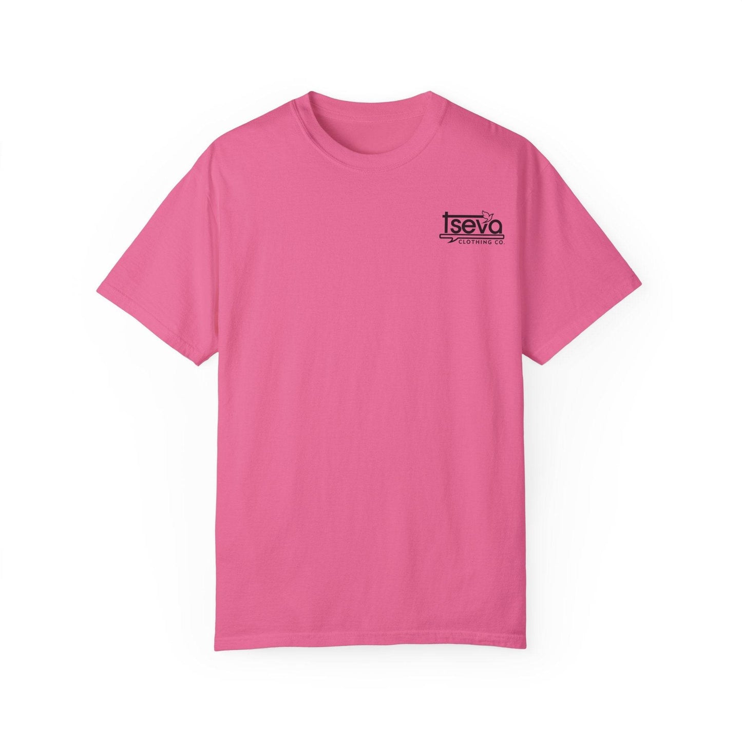 Tseva Clothing Branded T-Shirt- Light 1 Samuel 17:45 - Tseva Clothing Co.