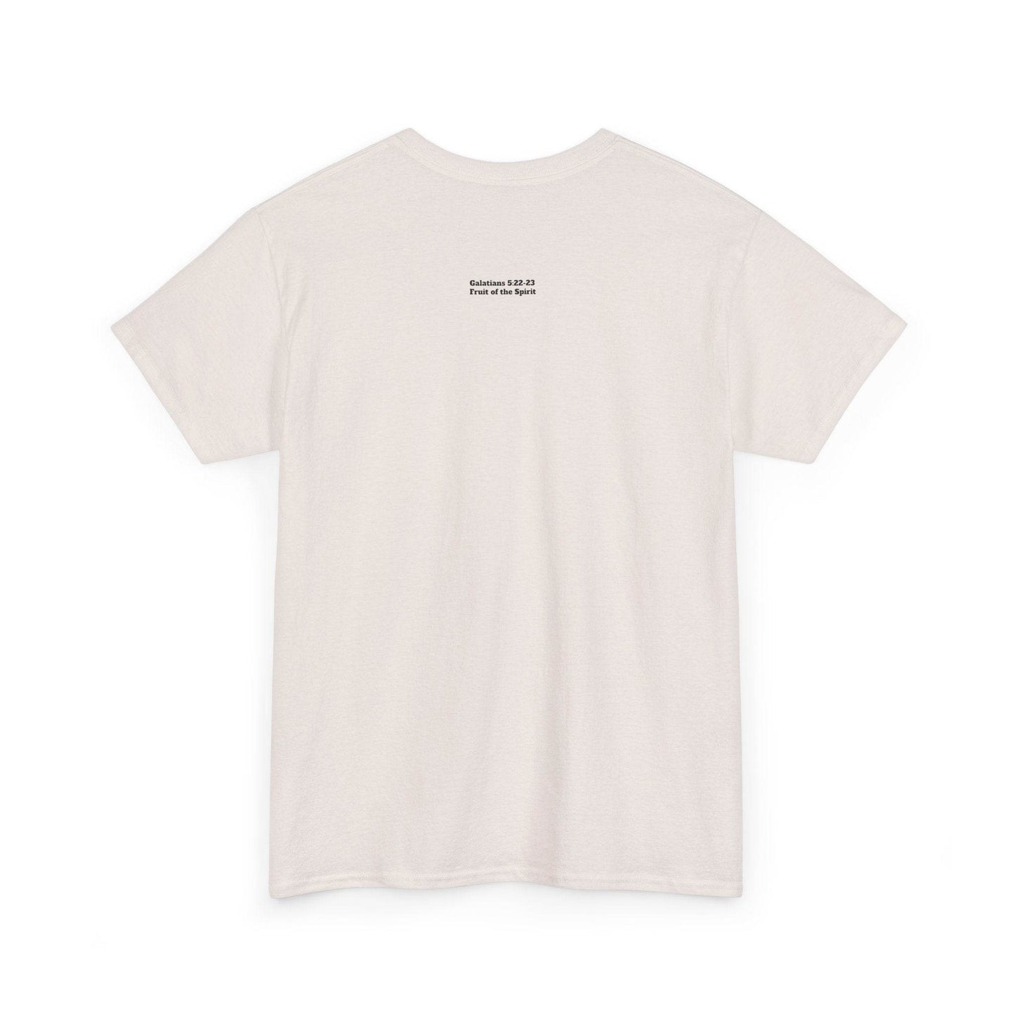 Fruit of the Spirit Soft T-Shirt - Tseva Clothing Co.