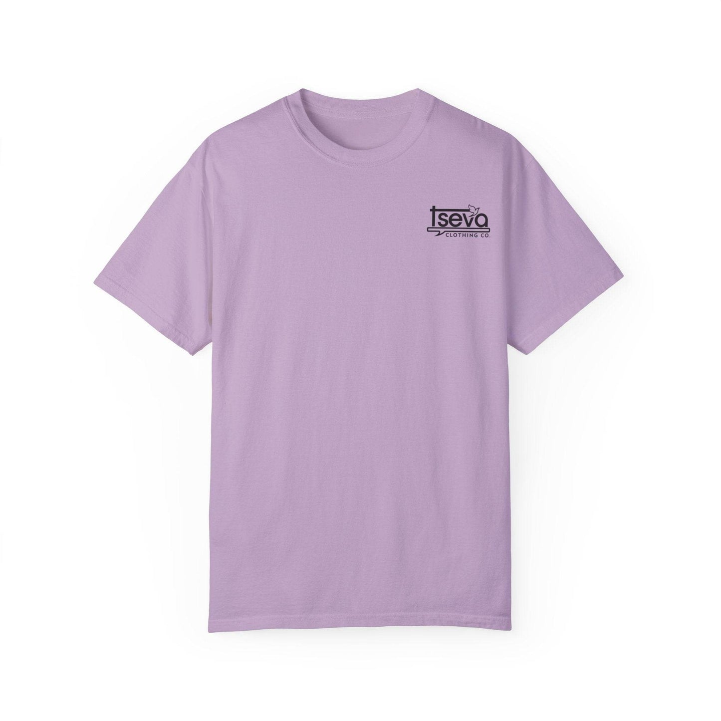Tseva Clothing Branded T-Shirt- Light 1 Samuel 17:45 - Tseva Clothing Co.