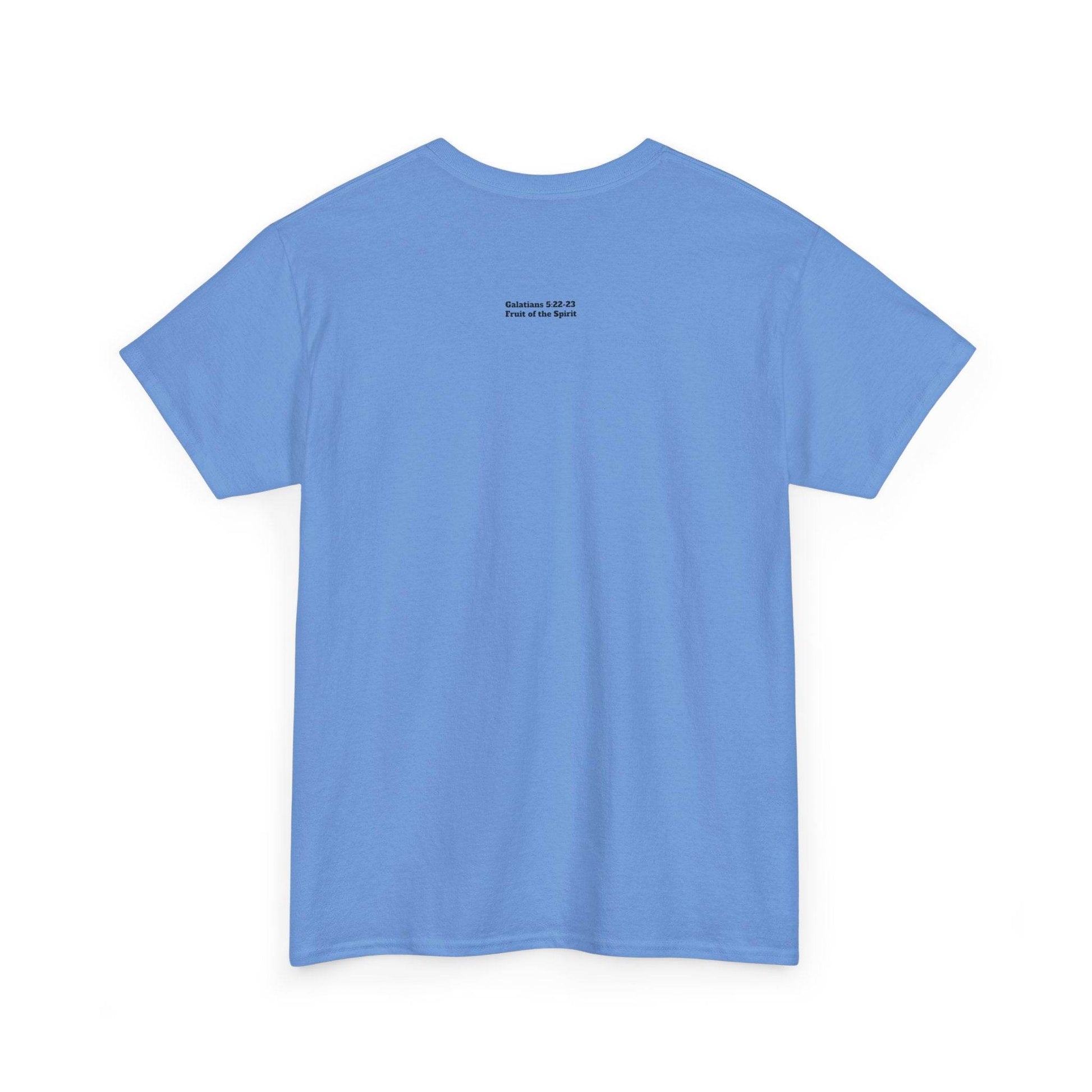 Fruit of the Spirit Soft T-Shirt - Tseva Clothing Co.