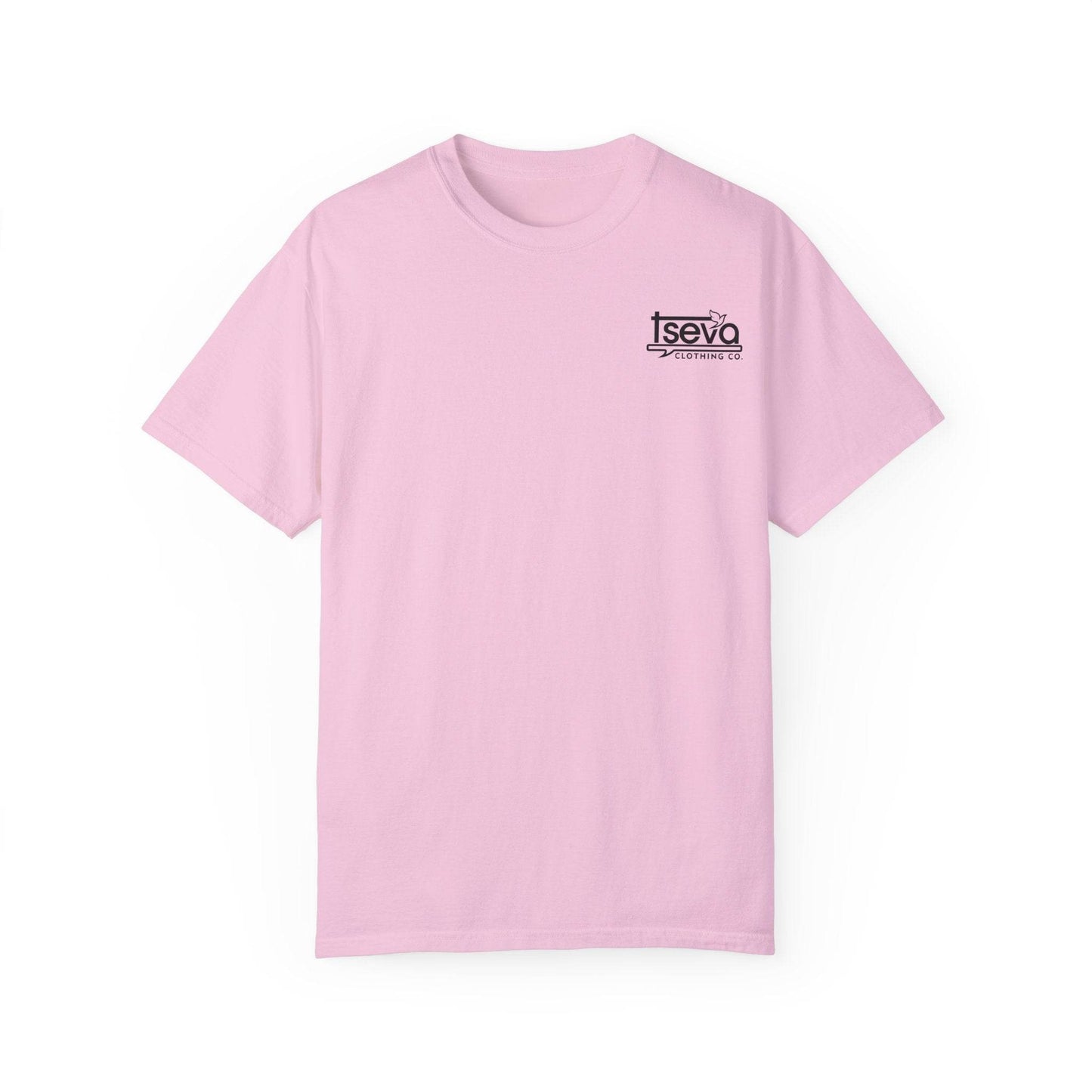 Tseva Clothing Branded T-Shirt- Light 1 Samuel 17:45 - Tseva Clothing Co.