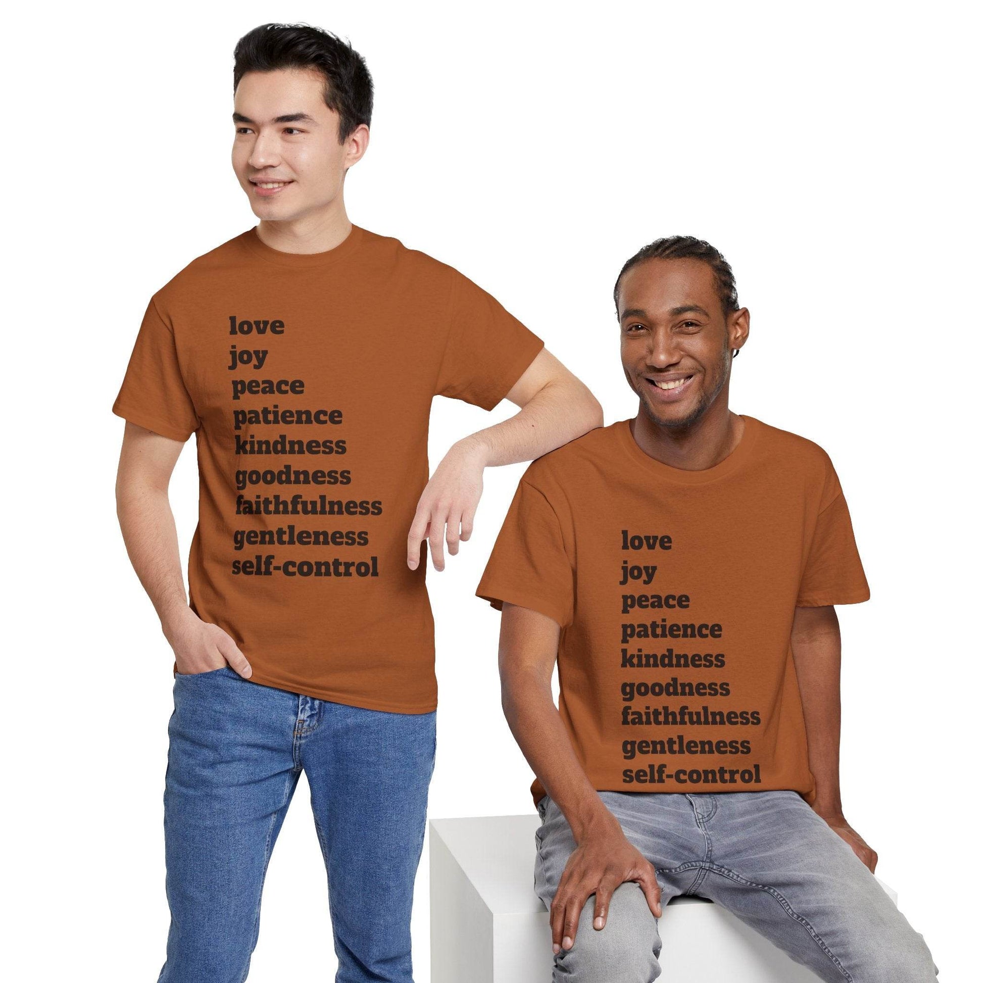 Fruit of the Spirit Soft T-Shirt - Tseva Clothing Co.