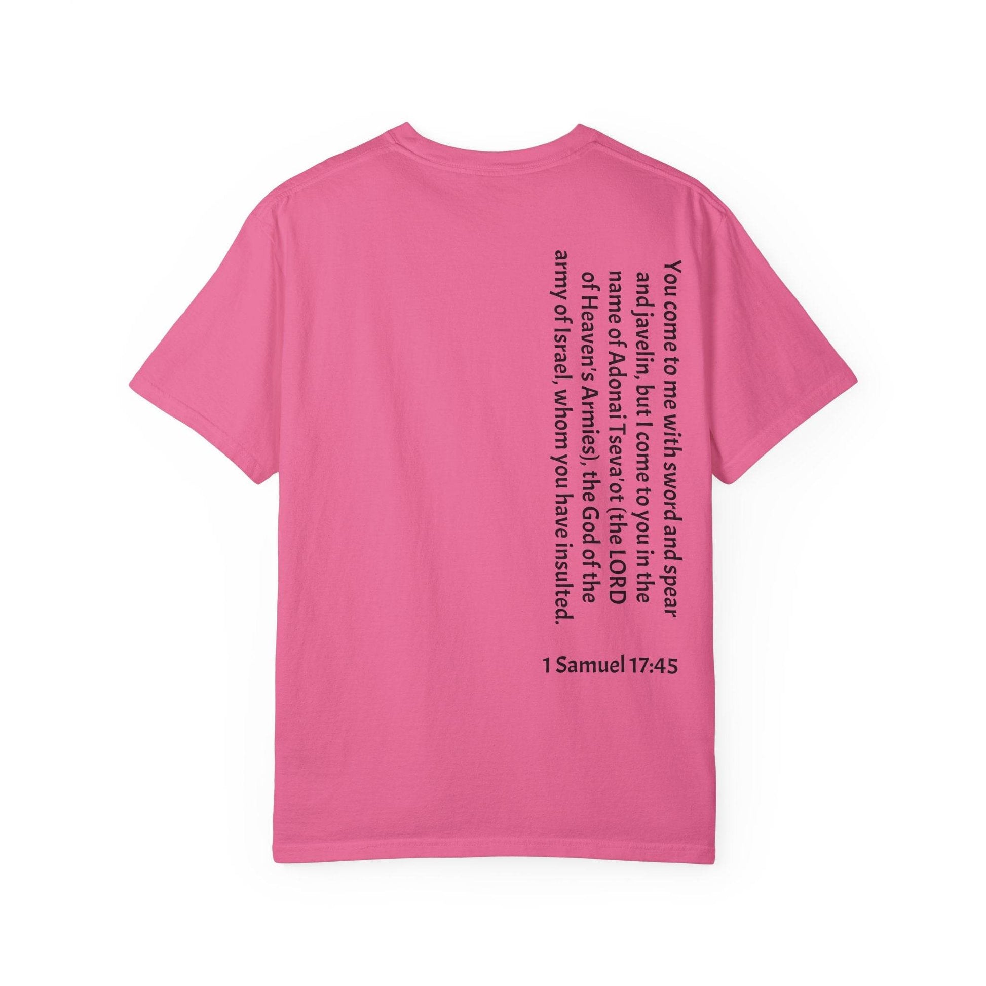 Tseva Clothing Branded T-Shirt- Light 1 Samuel 17:45 - Tseva Clothing Co.