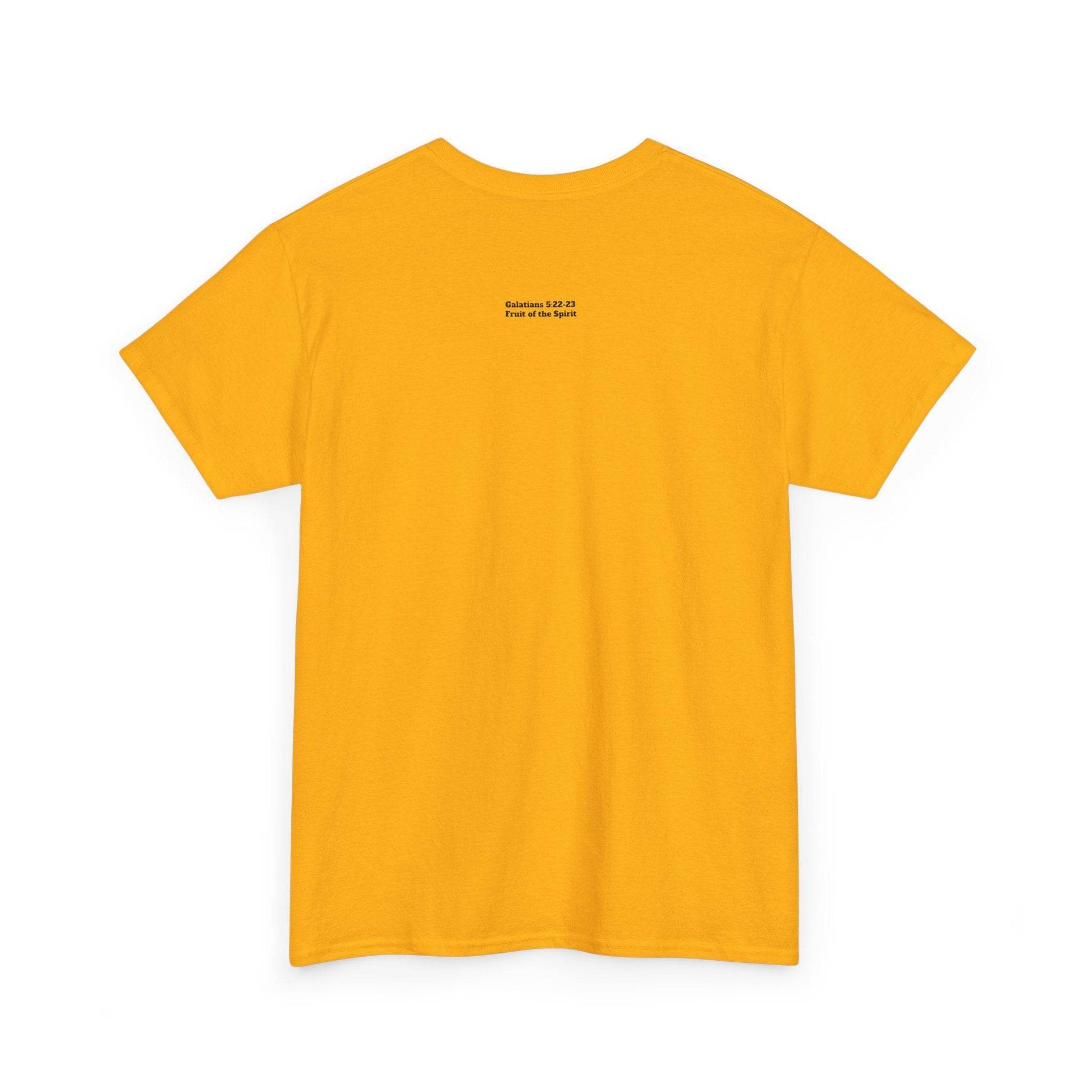 Fruit of the Spirit Soft T-Shirt - Tseva Clothing Co.
