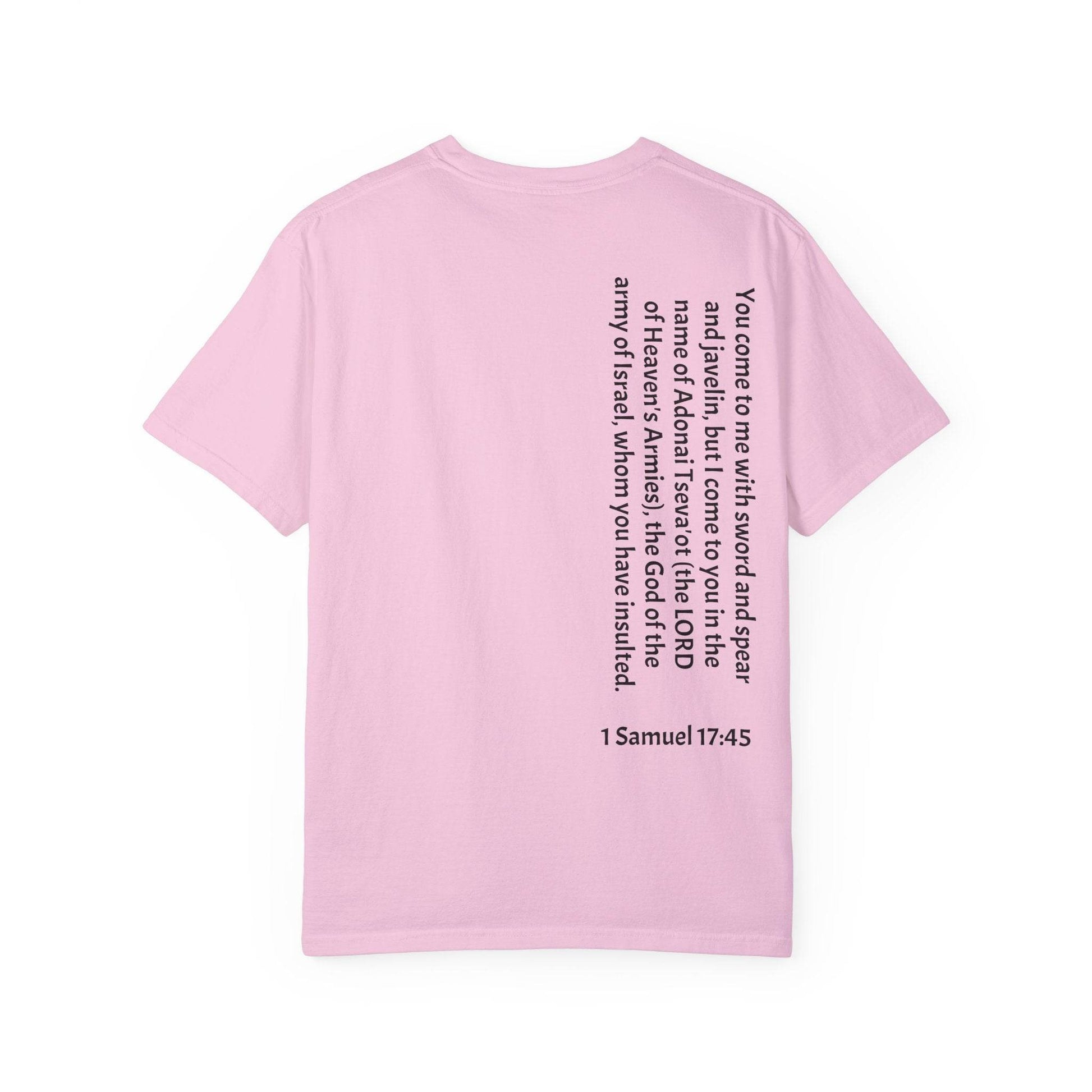 Tseva Clothing Branded T-Shirt- Light 1 Samuel 17:45 - Tseva Clothing Co.