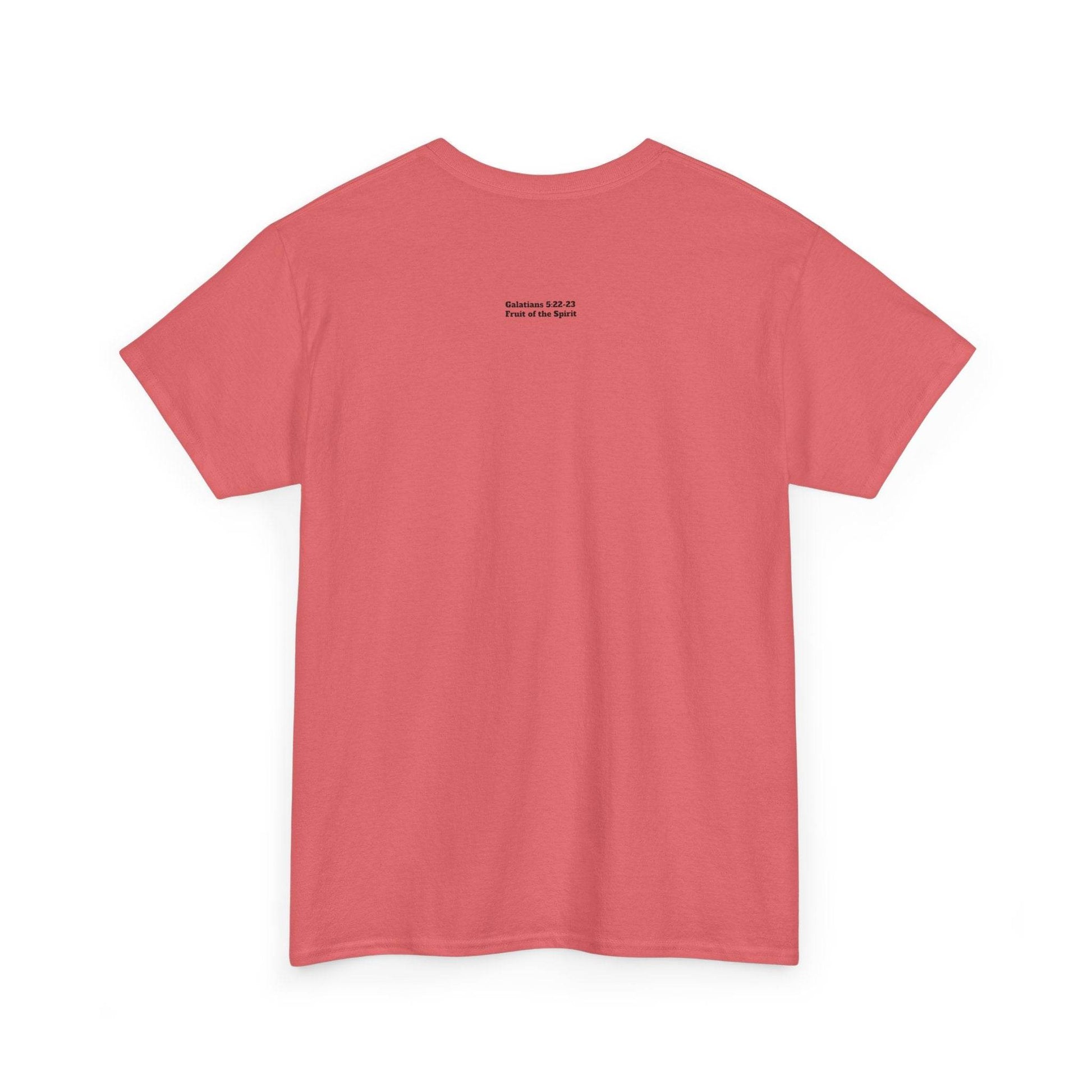 Fruit of the Spirit Soft T-Shirt - Tseva Clothing Co.